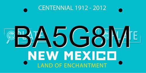 BA5G8M New Mexico License Plate