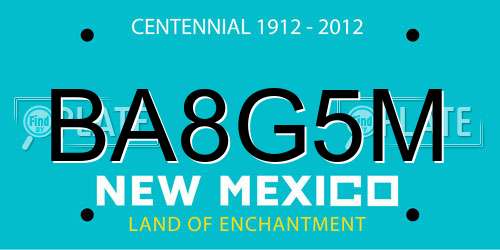 BA8G5M New Mexico License Plate