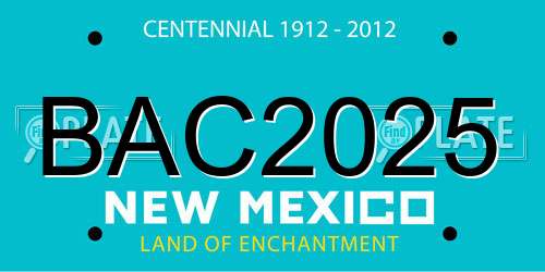 BAC2025 New Mexico License Plate