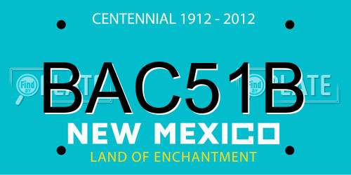 BAC51B New Mexico License Plate