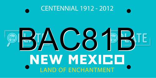 BAC81B New Mexico License Plate