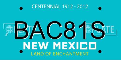 BAC81S New Mexico License Plate