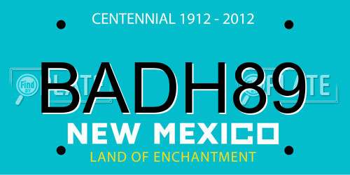 BADH89 New Mexico License Plate
