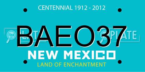 BAEO37 New Mexico License Plate