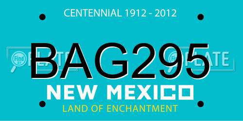 BAG295 New Mexico License Plate