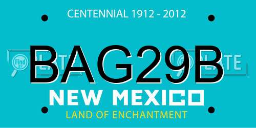 BAG29B New Mexico License Plate