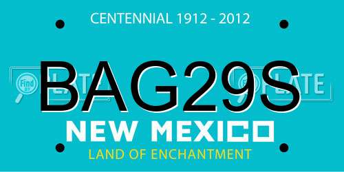 BAG29S New Mexico License Plate