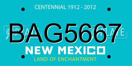 BAG5667 New Mexico License Plate
