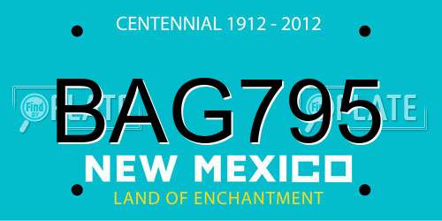 BAG795 New Mexico License Plate