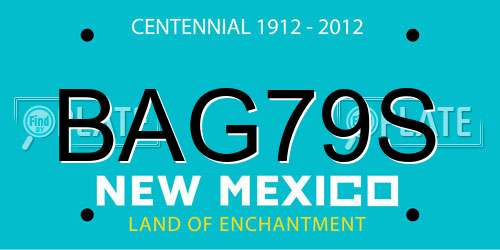 BAG79S New Mexico License Plate