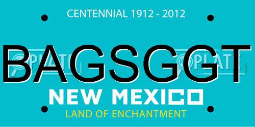 BAGSGGT New Mexico License Plate
