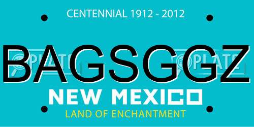 BAGSGGZ New Mexico License Plate
