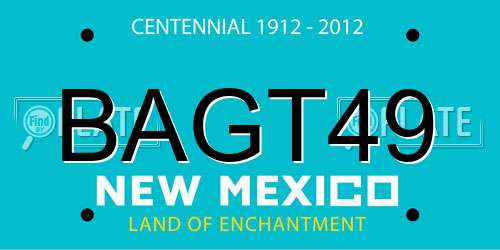 BAGT49 New Mexico License Plate