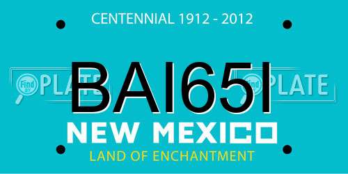 BAI65I New Mexico License Plate