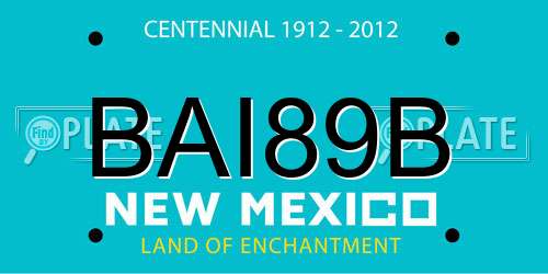 BAI89B New Mexico License Plate
