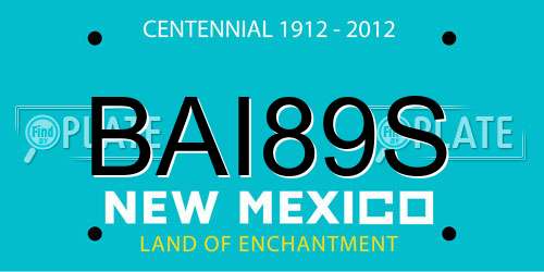 BAI89S New Mexico License Plate