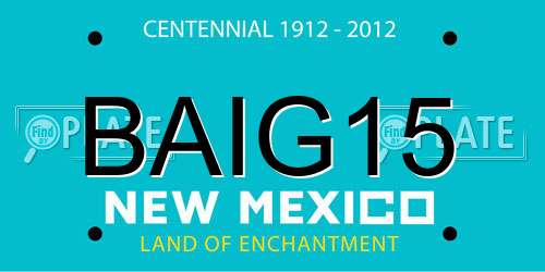 BAIG15 New Mexico License Plate