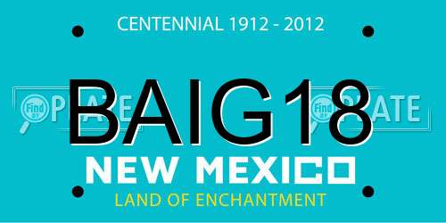 BAIG18 New Mexico License Plate