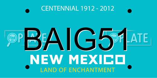 BAIG51 New Mexico License Plate