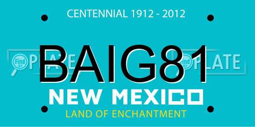 BAIG81 New Mexico License Plate