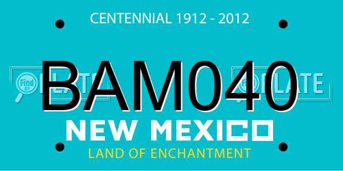BAM040 New Mexico License Plate