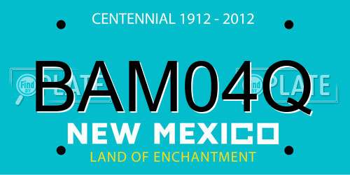 BAM04Q New Mexico License Plate