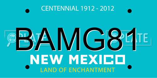 BAMG81 New Mexico License Plate