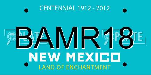 BAMR18 New Mexico License Plate