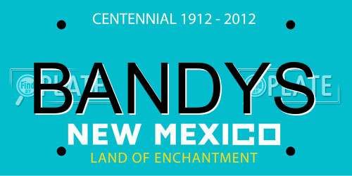 BANDYS New Mexico License Plate