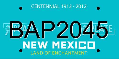 BAP2045 New Mexico License Plate