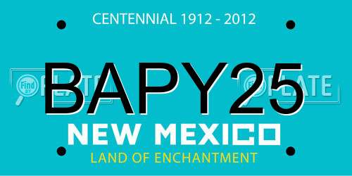 BAPY25 New Mexico License Plate