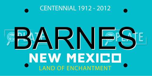 BARNES New Mexico License Plate