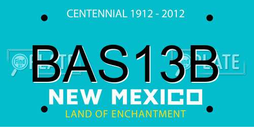 BAS13B New Mexico License Plate