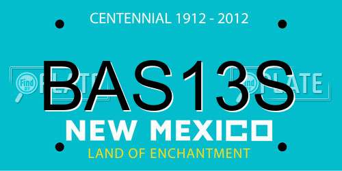 BAS13S New Mexico License Plate