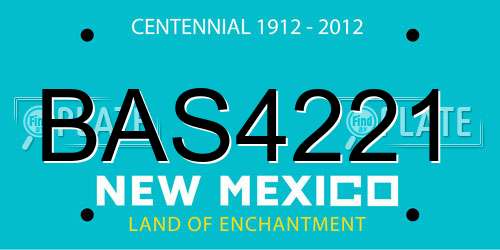BAS4221 New Mexico License Plate