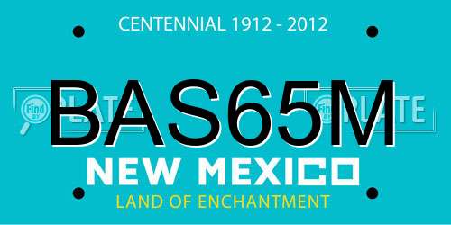 BAS65M New Mexico License Plate