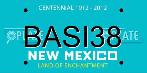 BASI38 New Mexico License Plate