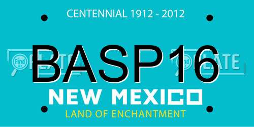 BASP16 New Mexico License Plate