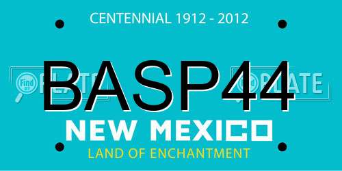 BASP44 New Mexico License Plate