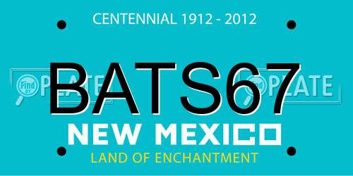 BATS67 New Mexico License Plate
