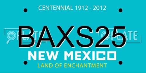 BAXS25 New Mexico License Plate