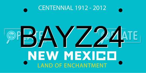 BAYZ24 New Mexico License Plate