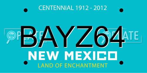 BAYZ64 New Mexico License Plate