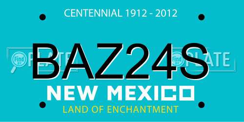 BAZ24S New Mexico License Plate