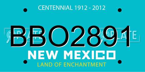 BBO2891 New Mexico License Plate