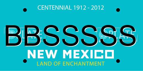 BBSSSSS New Mexico License Plate