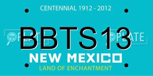 BBTS13 New Mexico License Plate