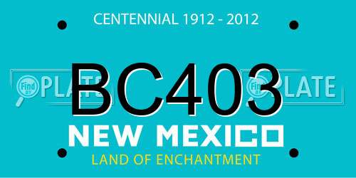 BC403 New Mexico License Plate