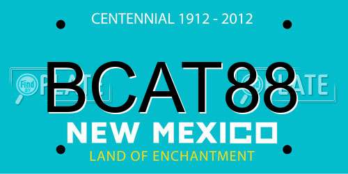 BCAT88 New Mexico License Plate