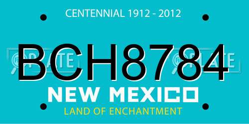 BCH8784 New Mexico License Plate